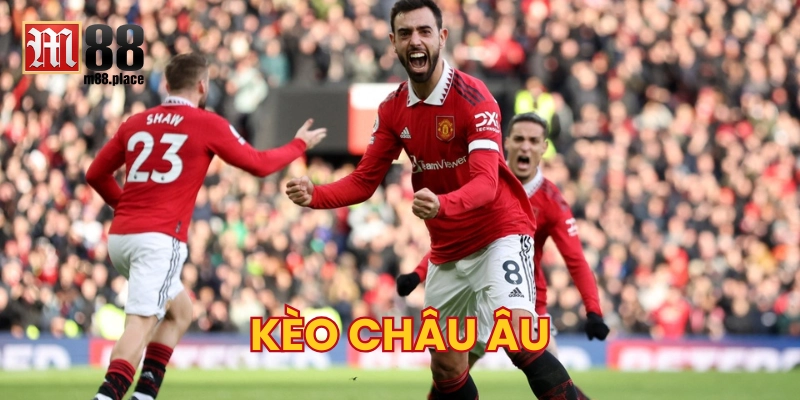 Cách chọn cửa Kèo Châu Âu